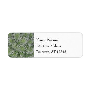 Artemisia Return Address Label