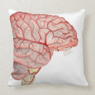 Arteries of the Brain Cushion