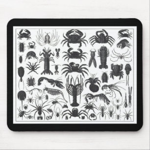 Arthropoda: spiders, crabs, lobsters B&W pattern Mouse Pad