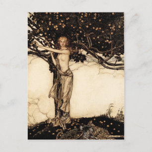 Arthur Rackham Freya  CC0329 Postcard