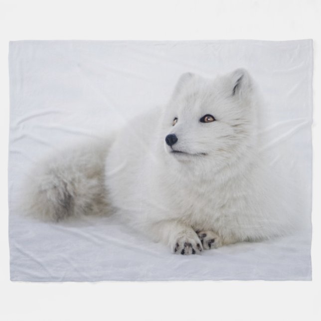 ARTIC FOX FLEECE BLANKET (Front (Horizontal))