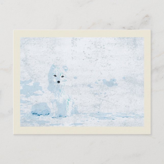 Artic fox on the white ice pack illustration postcard (Front)