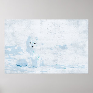 Artic fox on the white ice pack illustration poster