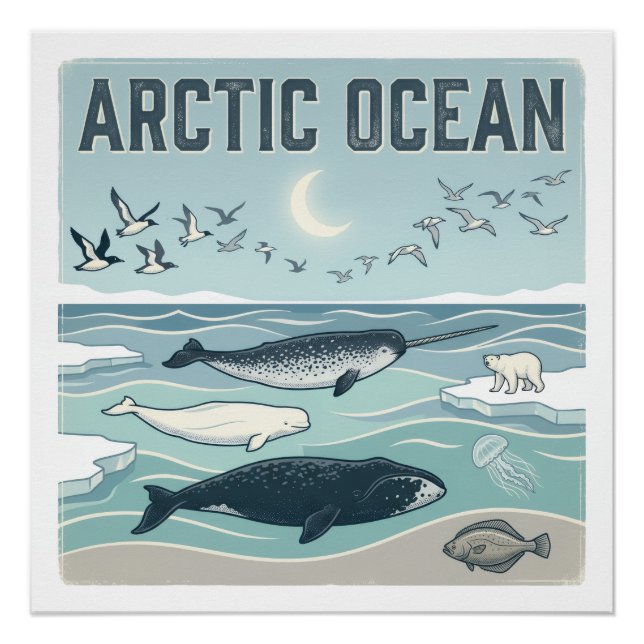 Artic Ocean Poster (Front)