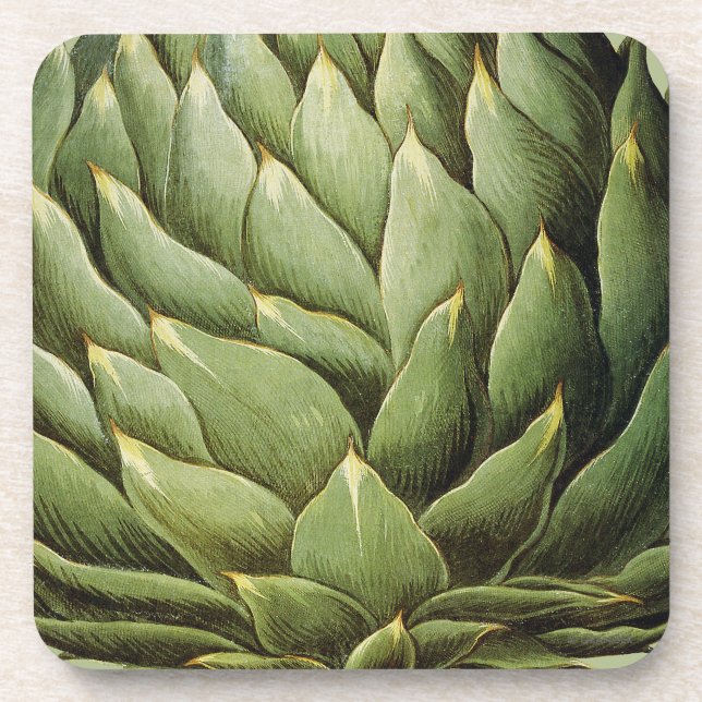 Artichoke, 1613 coaster (Front)
