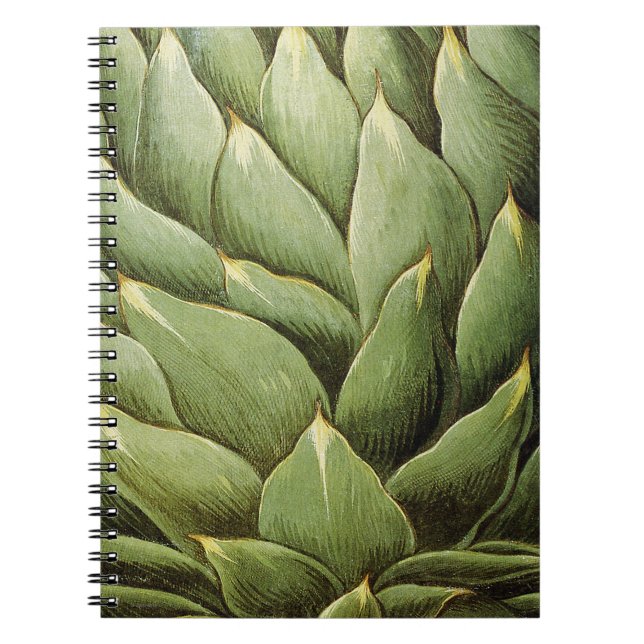 Artichoke, 1613 notebook (Front)