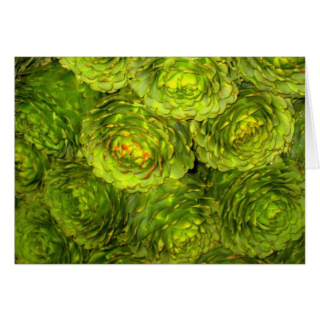 Artichoke Boutique (Front Horizontal)