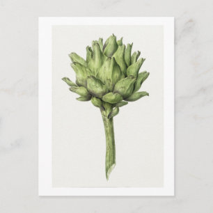 Artichoke by Jean Bernard (1775-1883). Postcard