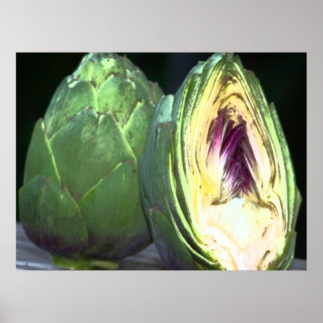 Artichoke Canvas Print (Front)