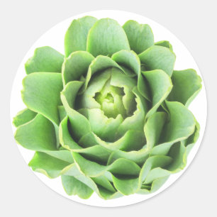 Artichoke Classic Round Sticker