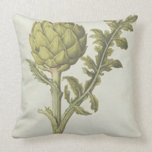 Artichoke: Cynara scolymus, c.1568 Cushion