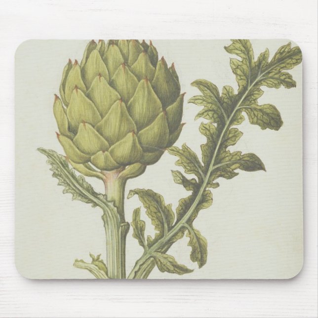 Artichoke: Cynara scolymus, c.1568 Mouse Pad (Front)