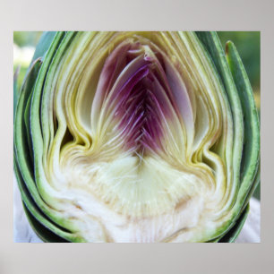Artichoke Heart Canvas Print