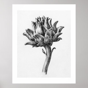 Artichoke II by Jean Bernard (1775-1883). Poster