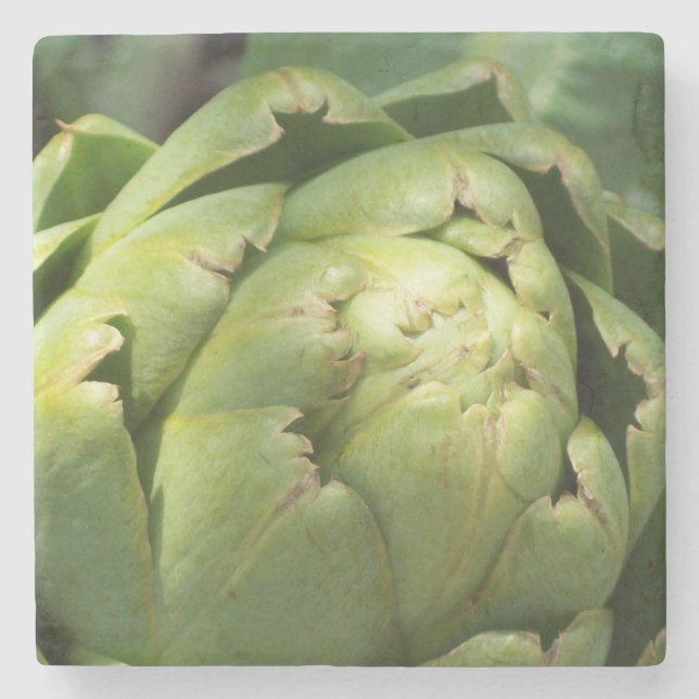 Artichoke Stone Coaster (Front)
