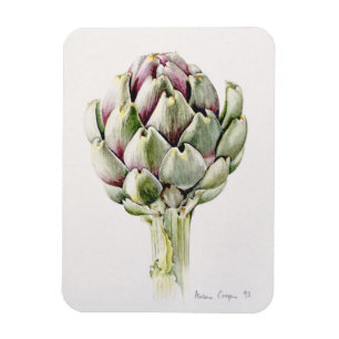 Artichoke Study 1993 Magnet