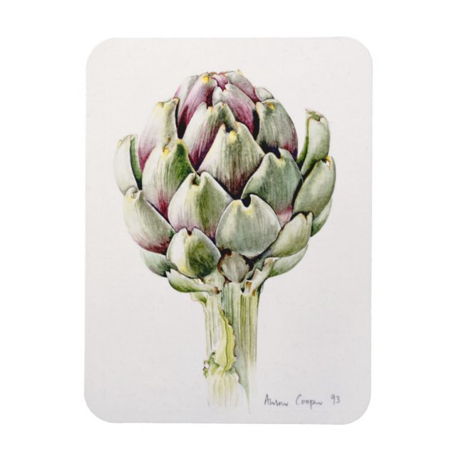 Artichoke Study 1993 Magnet (Vertical)