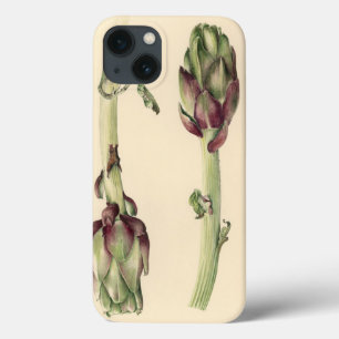 Artichokes 2005 iPhone 13 case
