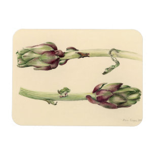 Artichokes 2005 magnet