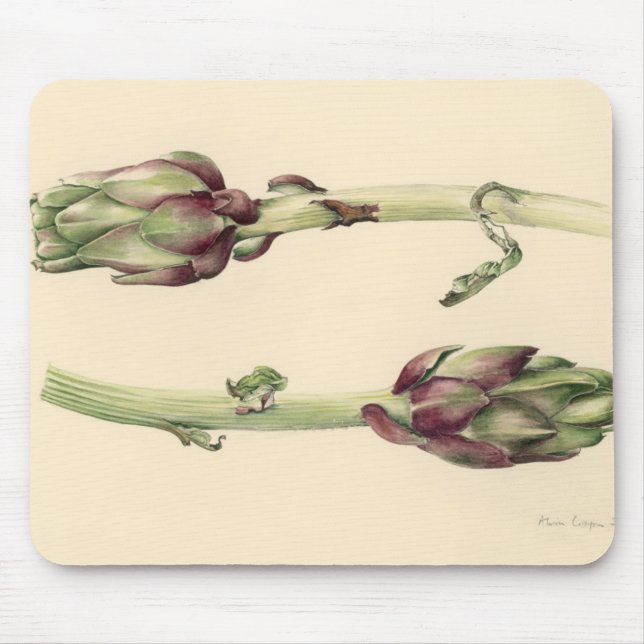 Artichokes 2005 mouse pad (Front)