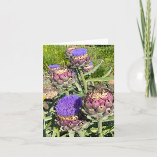 Artichokes in Bloom Note Card