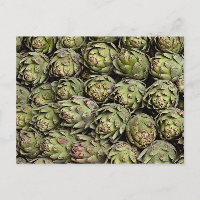 Artichokes Photo Postcard (Front)