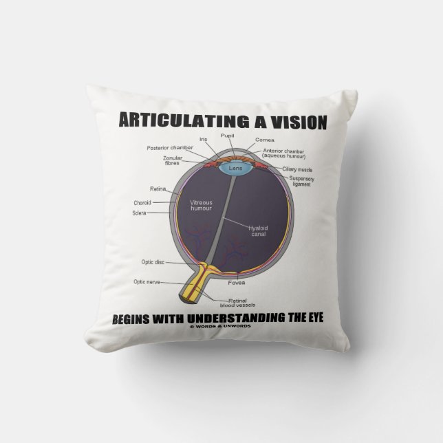 Articulating A Vision Begins Understanding The Eye Cushion (Front)