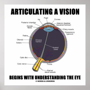 Articulating A Vision Begins Understanding The Eye Poster