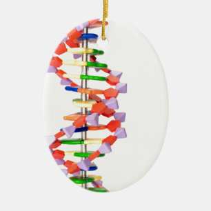 Artificial DNA model Ceramic Tree Decoration