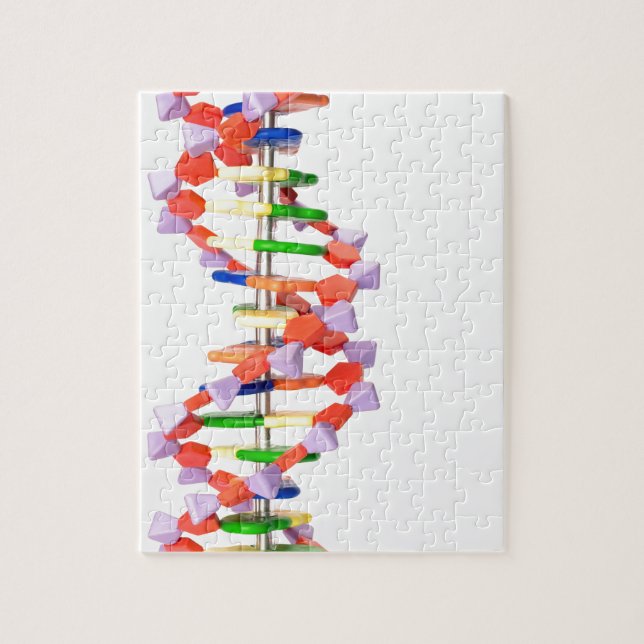 Artificial DNA model Jigsaw Puzzle (Vertical)