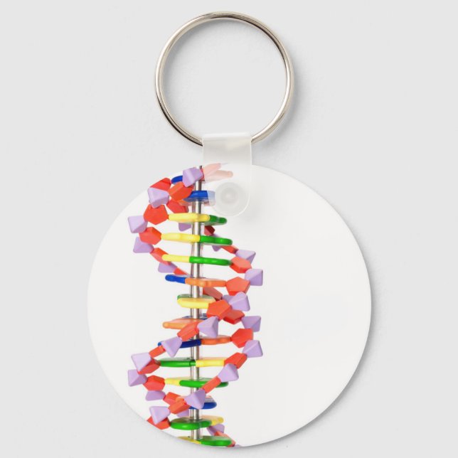 Artificial DNA model Key Ring (Front)