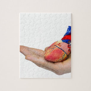 Artificial human heart model on hand jigsaw puzzle