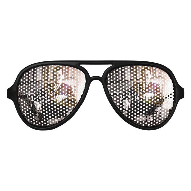 Artist Phil Bracco Signature Glasses (Front)