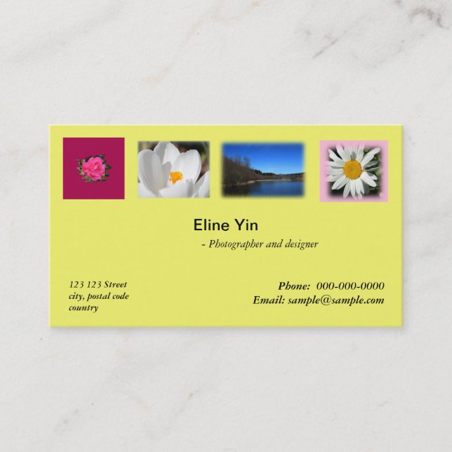 Artist, photographer, zazzler business card (Front)