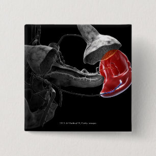 Artistic 3d rendering of the spleen 15 cm square badge