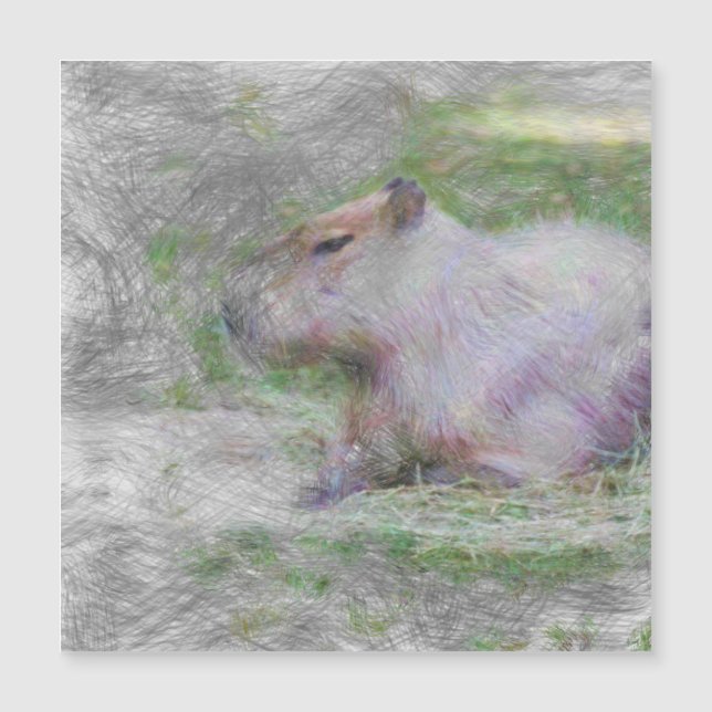 artistic animal capybara (Front)