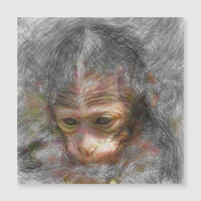artistic animal monkey baby (Front)