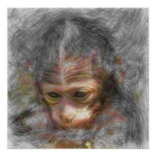 artistic animal monkey baby poster