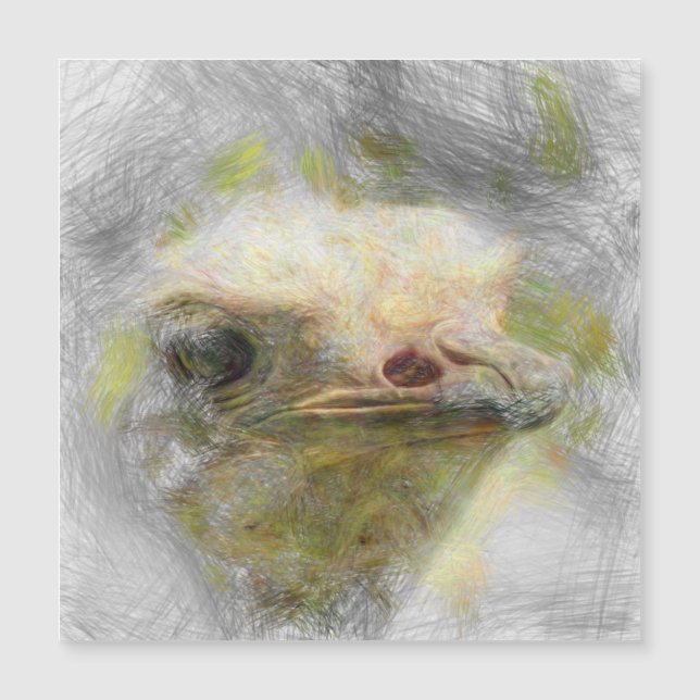 artistic animal ostrich (Front)