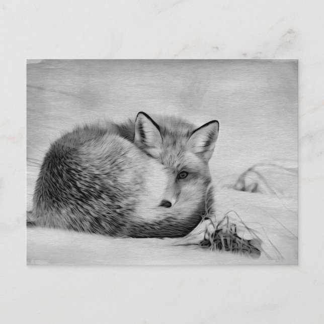 *~* Artistic Animal Red Fox Ap18  Artsy Wildlife Postcard (Front)
