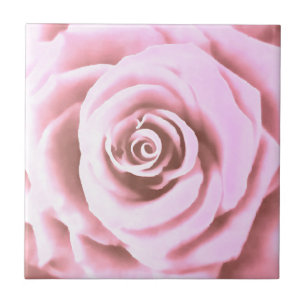 Artistic Big Pale Pink Rose Ceramic Tile