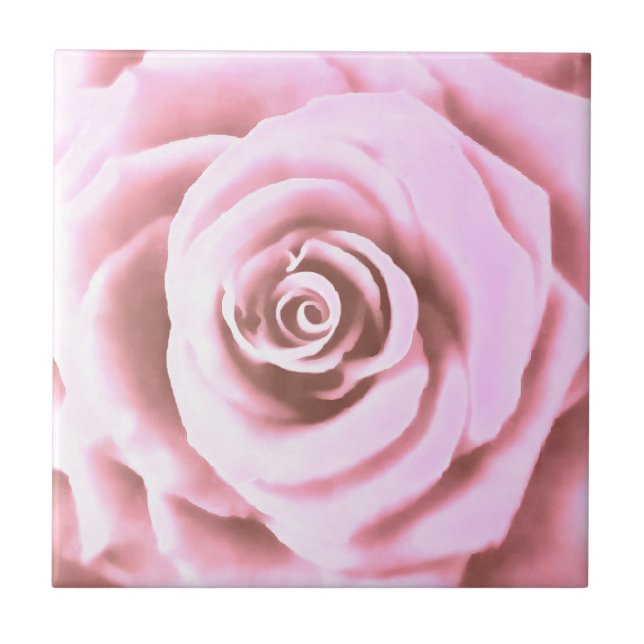 Artistic Big Pale Pink Rose Ceramic Tile (Front)