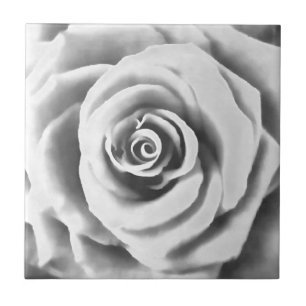 Artistic Big White Rose Ceramic Tile