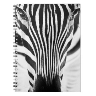 Artistic black and white closeup portrait of a zeb notebook