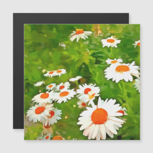 Artistic Bright and Colourful White Garden Daisies