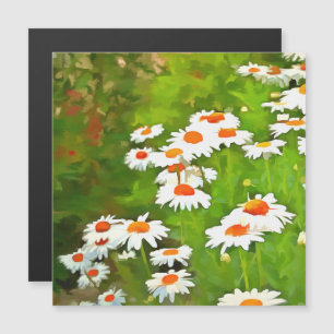 Artistic Bright and Colourful White Garden Daisies