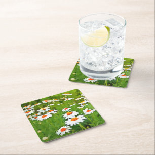 Artistic Bright and Colourful White Garden Daisies Square Paper Coaster
