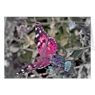 Artistic Butterfly