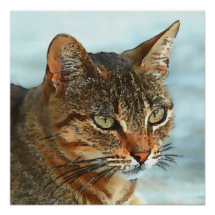 Artistic Cartoon Style Black Outline Tabby Cat   Poster