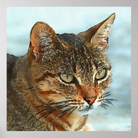 Artistic Cartoon Style Tabby Cat RB